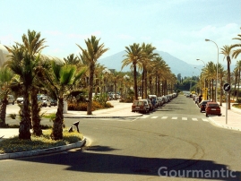Puerto Banús Spain - Wide streets are lined with palm trees