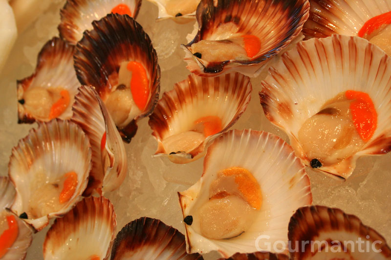 scallops in half shell