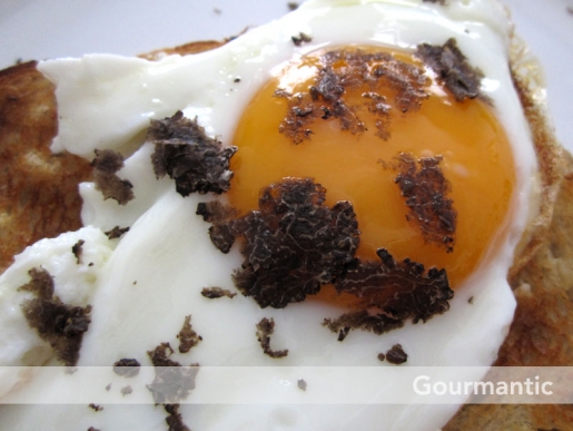 Perigord truffle with eggs