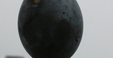 Owakudani black egg