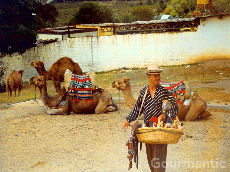 Camel rides and souvenir sellers