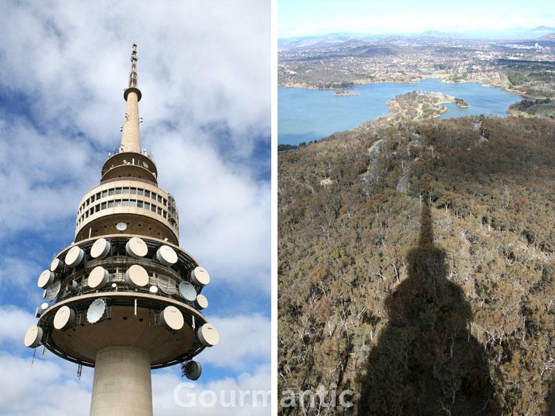 Black Mountain Tower in Canberra