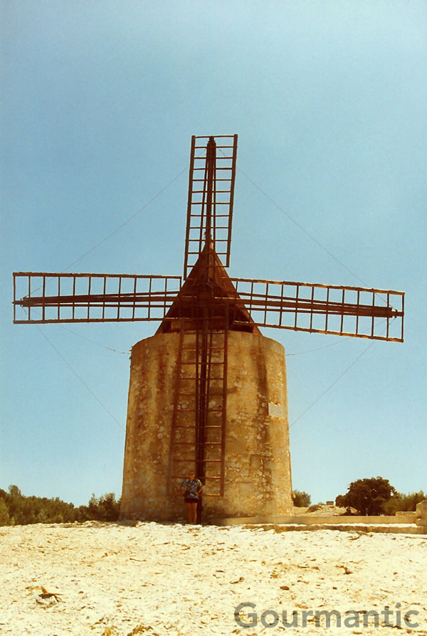 Moulin de   Daudet - Fontvieille