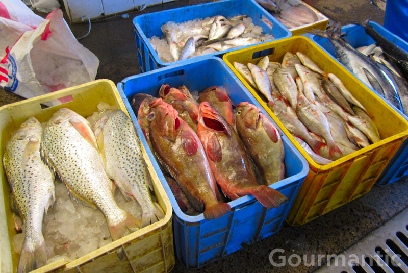 Dubai Fish Souk