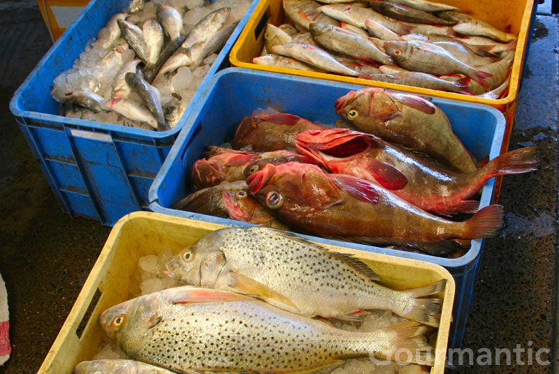 Dubai Fish Souk