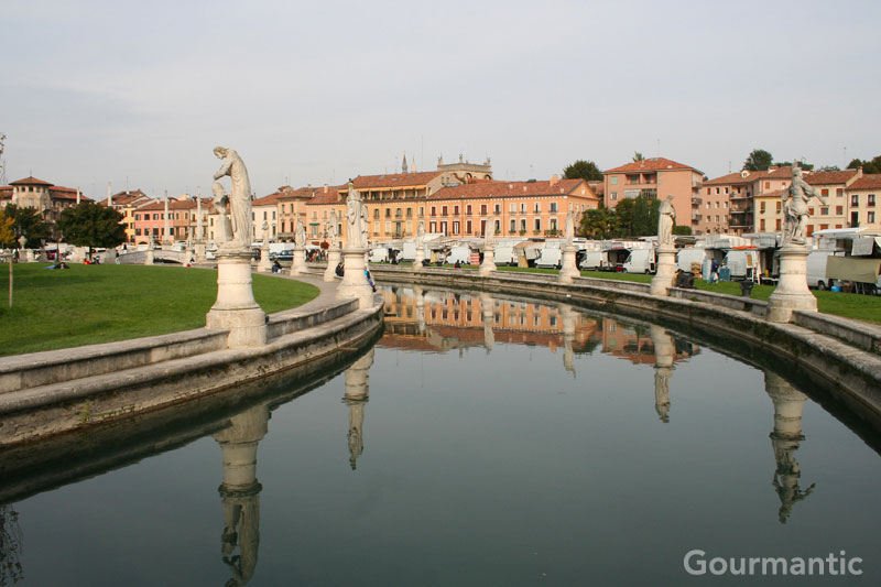Day Trip from Venice: Padova