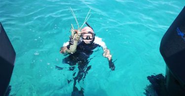 Spearfishing: The Great Barrier Reef