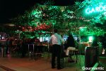 Opera Bar Garden of Neon